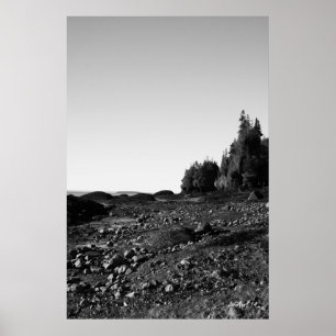 Hopewell Rocks - B&W 1 Poster