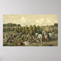 Hopfen Ernte 1857