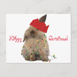 Hopfenreiche Weihnachtshäschen-Postkarte Feiertagspostkarte