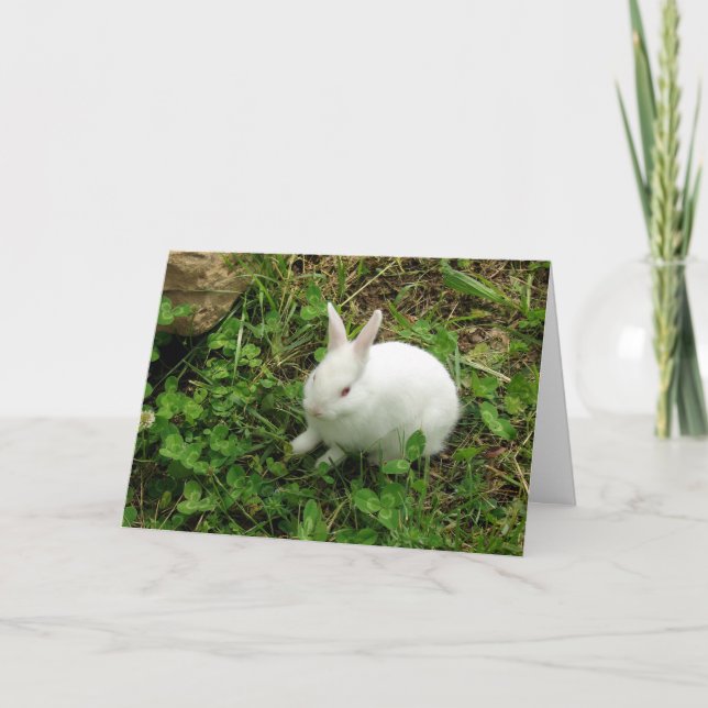 Hopfenreiches Ostern Feiertagskarte (Vorderseite)