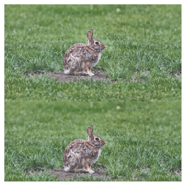 Hoppy Bunny Stoff (Nahaufnahme)