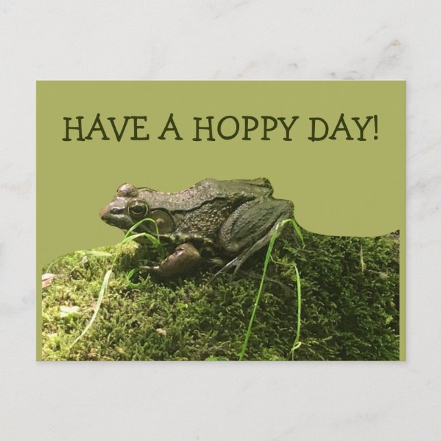 Hoppy Day Frosch Foto grün Postkarte (Vorderseite)