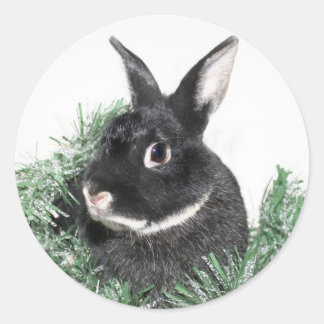 Hoppy Holidays Runder Aufkleber