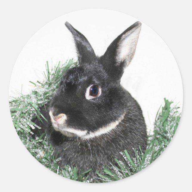 Hoppy Holidays Runder Aufkleber (Vorderseite)