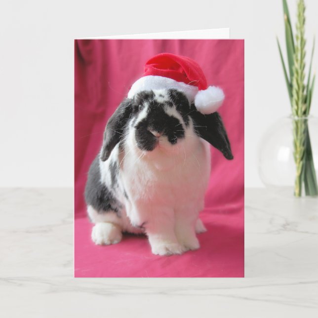 Hoppy Holidays Urlaubskarte Feiertagskarte (Vorderseite)