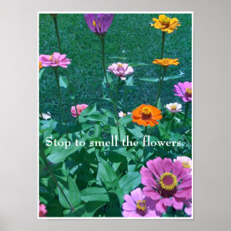Hör auf, die Blume zu riechen Poster