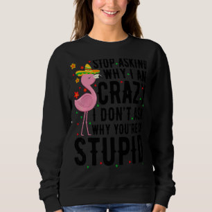Hör auf Fragen, warum ich Crazy Flamingo Stupid Pi Sweatshirt