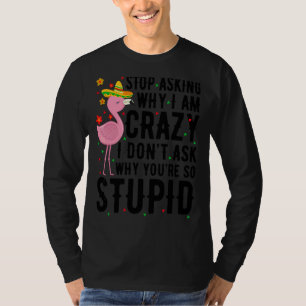 Hör auf Fragen, warum ich Crazy Flamingo Stupid Pi T-Shirt