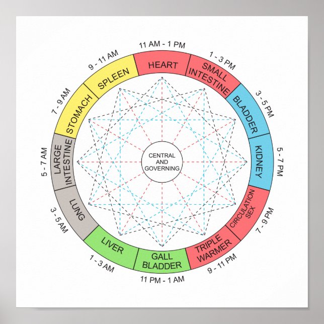 Horary Cycle Acupuncture Art Poster (Vorne)