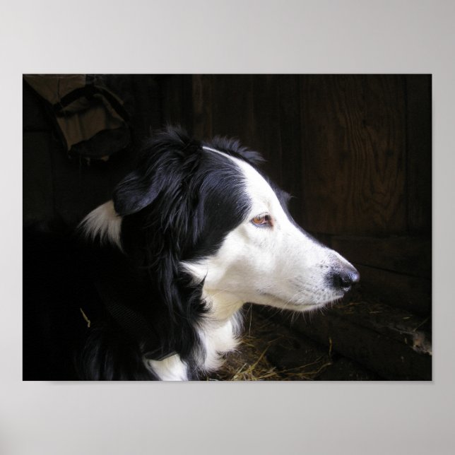 "Hören" Poster (Vorne)