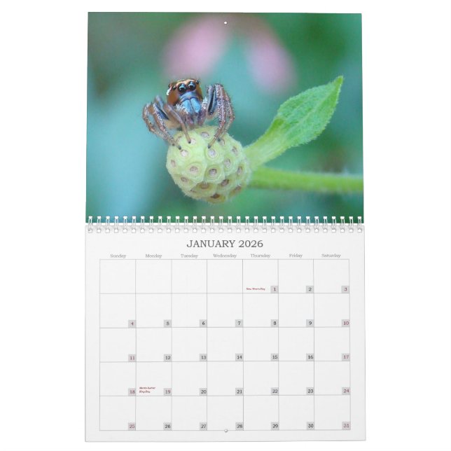 Hören Sie mich ab! Kalender (Jan 2026)