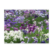 Horikiri Iris Garden: Tokio, Japan