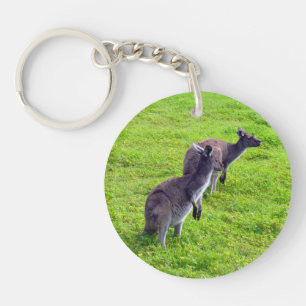 Horizons sans limites : Kangaroos gris sur la plai