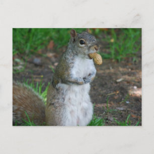 Horizontale Postkarte - Maßgeschneiderte