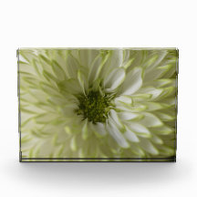 Horizontaler Block Photoblock