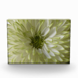 Horizontaler Block Photoblock
