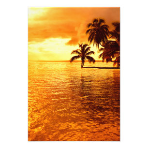 Horizontaler Palme-Sonnenuntergang-Fotodruck Fotodruck