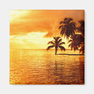 Horizontaler Palme-Sonnenuntergangmagnet Magnet