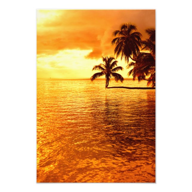 Horizontaler Palmensunset-Foto Fotodruck (Vorne)