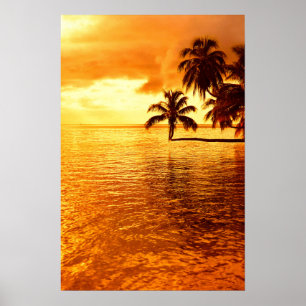 Horizontales Palme Baum Sonnenuntergang Poster