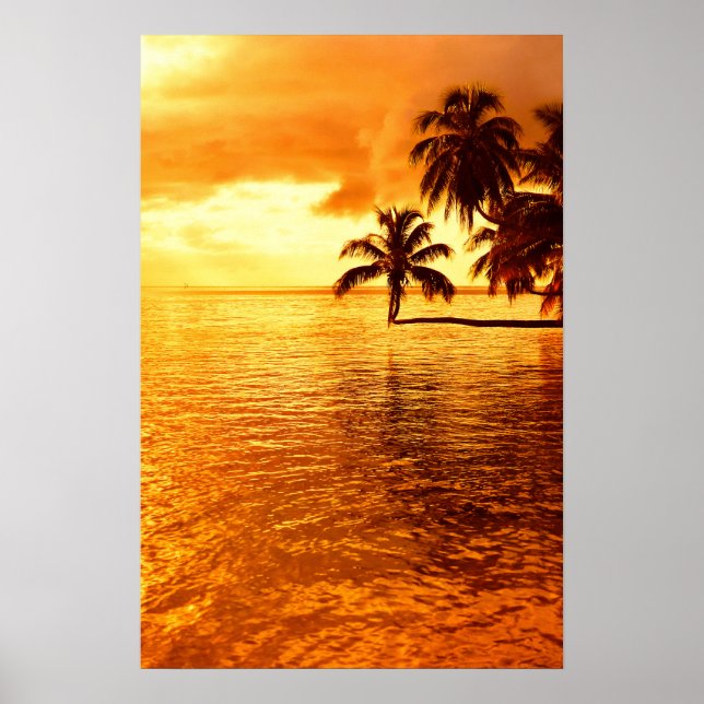 Horizontales Palmenblätterposter Poster (Vorne)