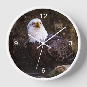 Horloge Aigle de Bald