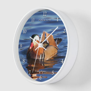 Horloge Beau canard Mandarin à l'étang