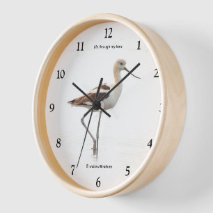 Horloge Beau oiseau américain Avocet à flâner sur la plage