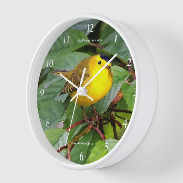 Horloge Belle Paruline Wilson dans Cherry Tree (Angle)