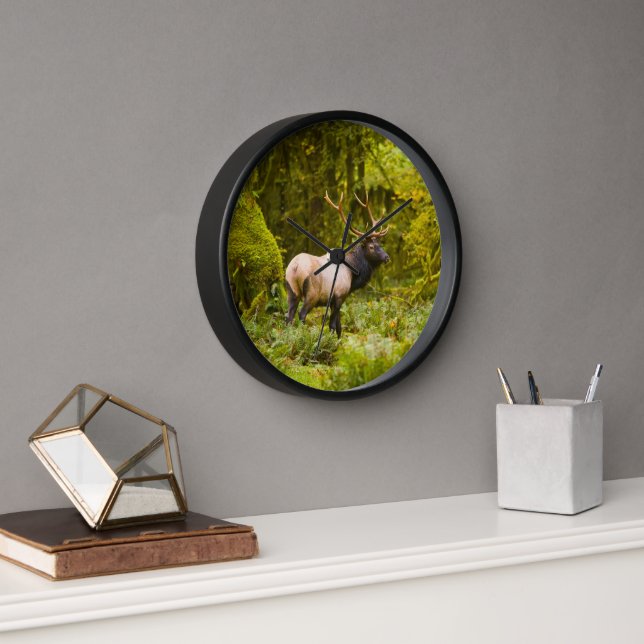 Horloge Bull Roosevelt Elk Debout Dans Le Pré (Bureau)