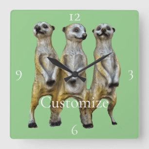 Horloge Carrée 3 Meerkats debats Thunder_Cove