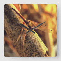 534424932Elegant Red Darter Dragonfly Insect Art