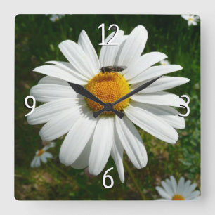 Horloge Carrée Abeille sur Marguerite Photo de l'été alaskien dan