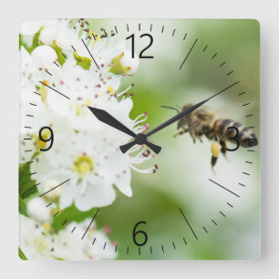 Horloge Carrée Abeille volant jusqu'à la fleur de printemps