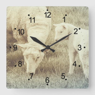 Horloge Carrée Agneau mignon et brebis maman