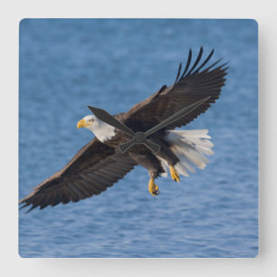Horloge Carrée Aigle chauve en vol
