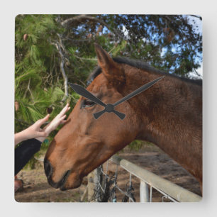 Horloge Carrée Aimer Un Grand Cheval Brown,