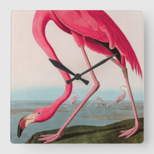 Horloge Carrée American Flamant rose Birds of America Audubon Imp