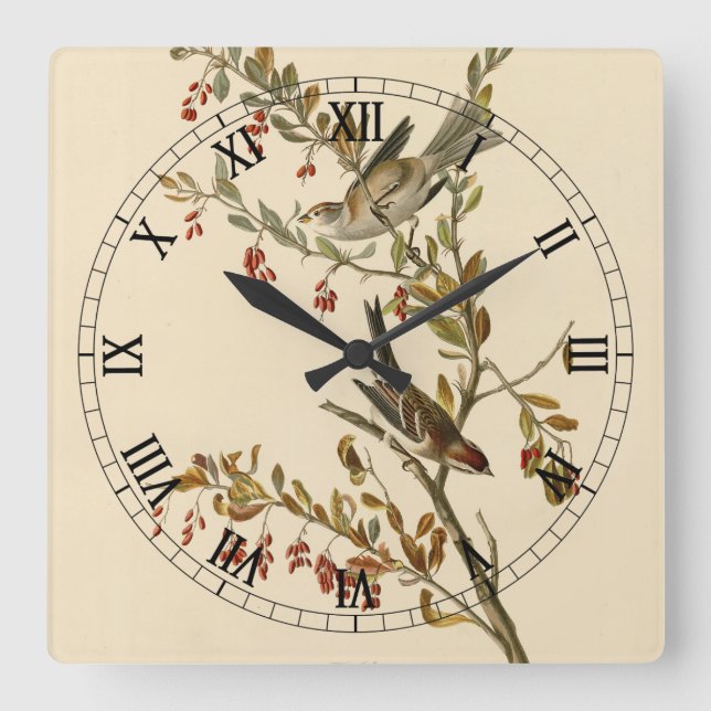 Horloge Carrée American Tree Sparrow, les oiseaux d'Amérique d'Au (Recto)