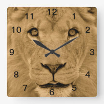 Animal Lion Face