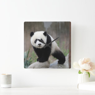 Horloge Carrée Animaux de bébés cutest Baby Panda géant