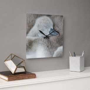 Horloge Carrée Animaux de bébés cutest   Bébé Mute Swan
