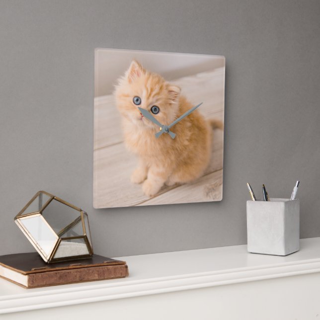 Horloge Carrée Animaux de bébés cutest | British Longhair Kitten (Bureau)