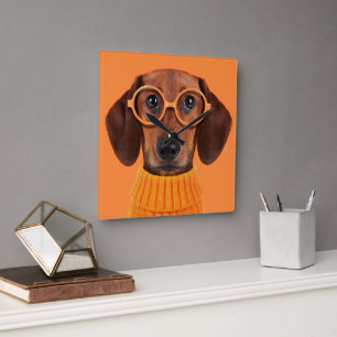 Horloge Carrée Animaux de bébés cutest   Chandail orange Dachshun