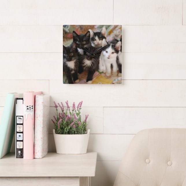 Horloge Carrée Animaux de bébés cutest | Chatons noirs et blancs (Salle de lecture)