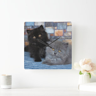 Horloge Carrée Animaux de bébés cutest   Chatons persans sur couv