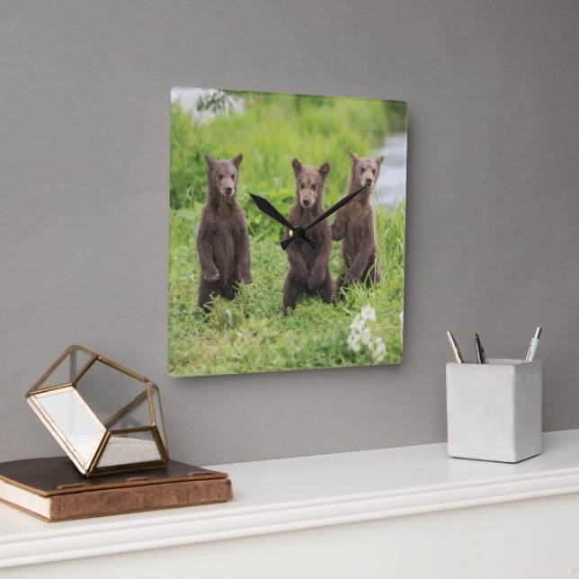 Horloge Carrée Animaux de bébés cutest | Cubes d'ours Brown Kamch (Bureau)