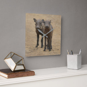Horloge Carrée Animaux de bébés cutest   Deux jeunes phacochères
