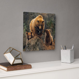 Horloge Carrée Animaux de bébés cutest   Famille d'ours Brown