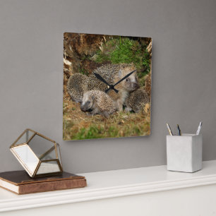 Horloge Carrée Animaux de bébés cutest Famille Hérisson